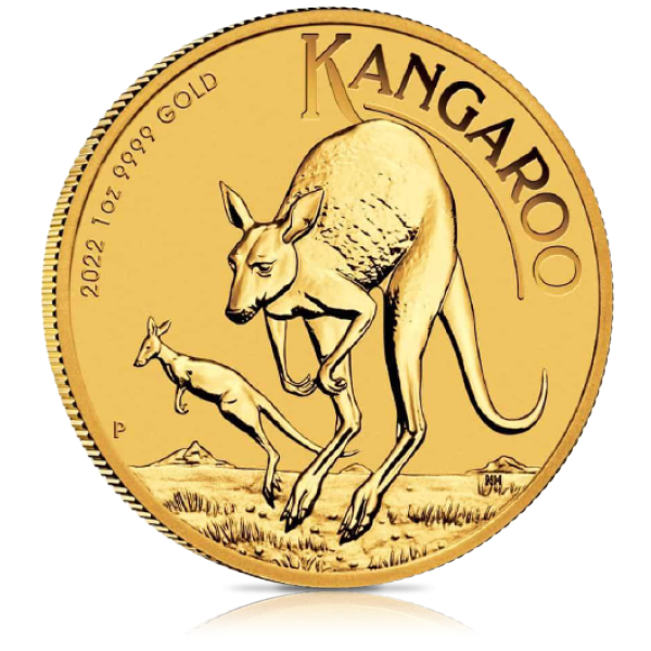 1/2 oz Gold Coin (Our Choice)