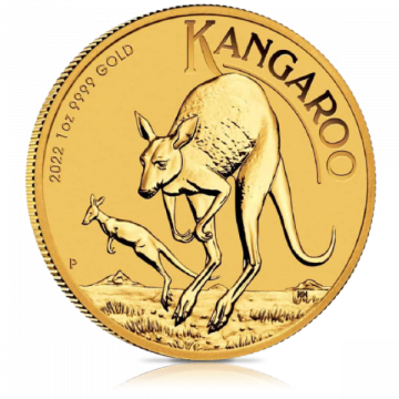 1/2 oz Gold Coin (Our Choice)